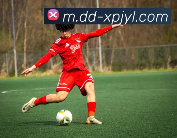 澳门新葡京娱乐APP 体育赛事宣传图